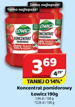 Delfin Koncentrat pomidorowy Łowicz oferta