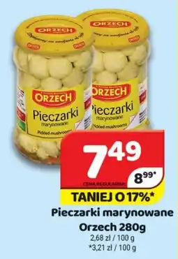 Delfin Pieczarki marynowane Orzech oferta