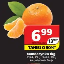 Delfin Mandarynka oferta