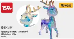 Jula EKVIP Tęczowy renifer z lampkami oferta