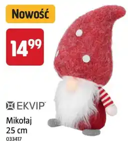 Jula Mikołaj EKVIP oferta