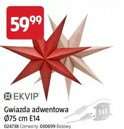 Jula Gwiazda adwentowa EKVIP oferta