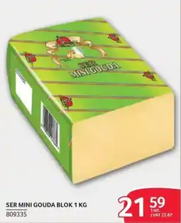 Selgros Ser Mini Gouda Blok oferta