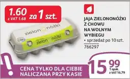 Selgros Jaja Zielononóżki oferta