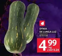 Selgros Dynia de Lunga Luz oferta