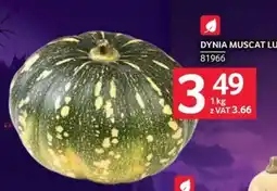 Selgros Dynia Muscat Lu oferta
