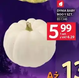Selgros Dynia Baby Boo oferta