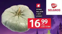 Selgros Dynia Nelson oferta