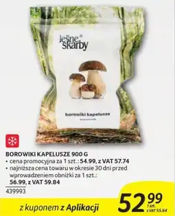 Selgros Lesne Skarby Borowiki Kapelusze oferta