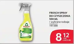 Selgros Frosch Spray do czyszczenia oferta