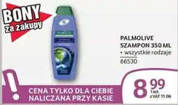 Selgros Szampon Palmolive oferta
