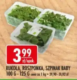 Sklepy Doroty Rukola, Roszponka, Szpinak Baby oferta