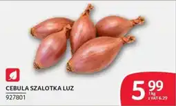 Selgros Cebula Szalotka Luz oferta