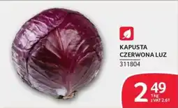 Selgros Kapusta Czerwona Luz oferta