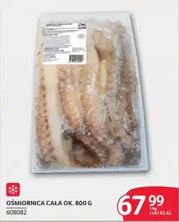 Selgros OŚMIORNICA CAŁA OK. 800 G oferta
