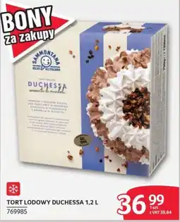 Selgros Tort Lodowy Duchessa oferta