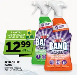 Groszek Płyn Cillit Bang oferta