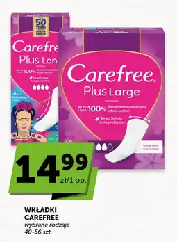 Groszek Wkładki Carefree oferta