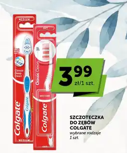 Groszek Szczoteczka do zębów Colgate oferta