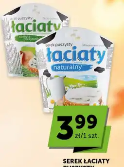 Groszek Serek Łaciaty Puszusty oferta