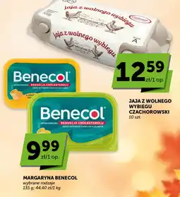 Groszek Margaryna Benecol oferta