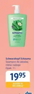 dm drogerie markt Szampon do włosów Schwarzkopf Schauma oferta