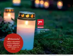Jula Znicz wkład olejowy 2-pak 11,5 cm Menuett oferta