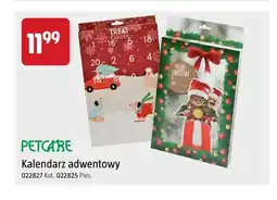 Jula Kalendarz adwentowy kot Petcare oferta