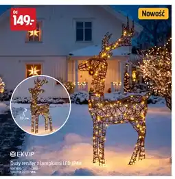 Jula Duży renifer z lampkami LED 120 cm Ekvip oferta
