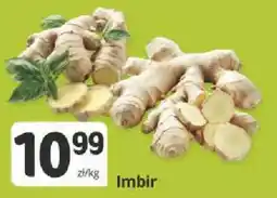 Marketvita Imbir oferta