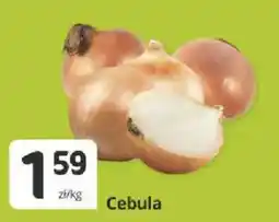 Marketvita Cebula oferta