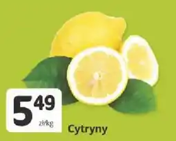 Marketvita Cytryny oferta