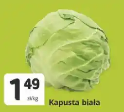 Marketvita Kapusta biała oferta