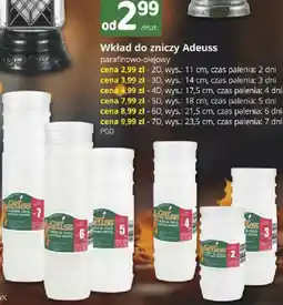 Marketvita Wkład do zniczy Adeuss oferta