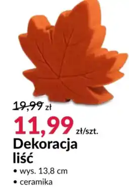 Agata Meble Dekoracja liść oferta
