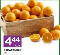 Stokrotka Express Pomarańcze oferta