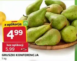 Stokrotka Express Gruszki Konferencja oferta