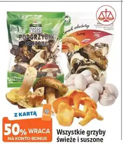E.Leclerc Wszystkie grzyby świeże i suszone oferta