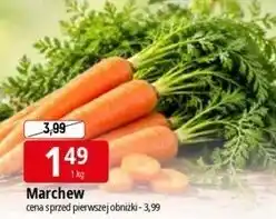 E.Leclerc Marchew oferta