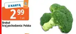 E.Leclerc Brokuł oferta
