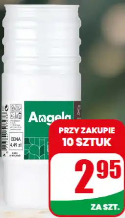 Dino Wkład do znicza Angela oferta