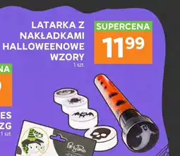Stokrotka Latarka oferta