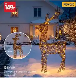 Jula Renifer Ekvip oferta