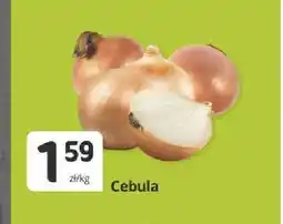 Marketvita Cebula oferta