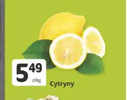 Marketvita Cytryny oferta