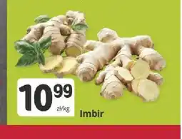 Marketvita Imbir oferta