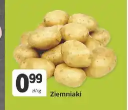 Marketvita Ziemniaki oferta