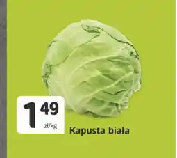 Marketvita Kapusta biała oferta