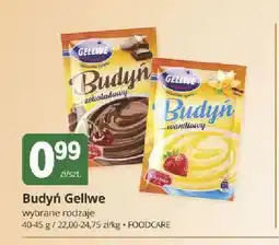 Marketvita Budyń czekoladowy Gellwe oferta
