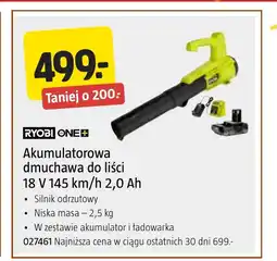 Jula Dmuchawa do liści Ryobi oferta